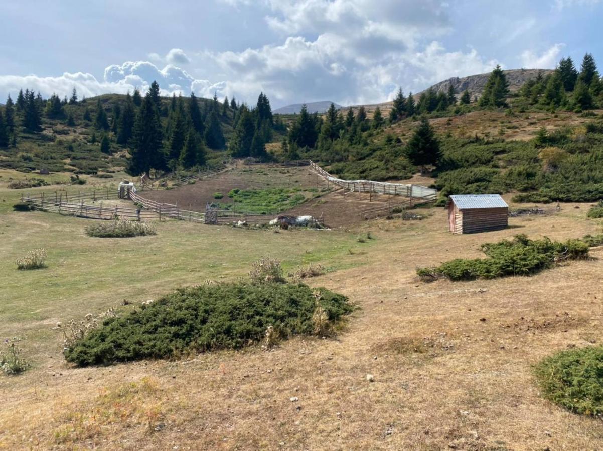 Villa 80 Kodra E Diellit Tetovo Buitenkant foto